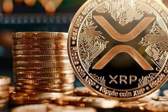 آینده ارزهای دیجیتال بانک های مرکزی و جایگاه XRP در آن