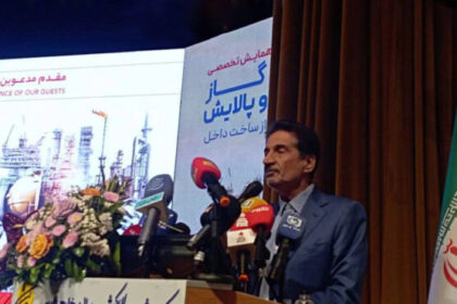 قطع گاز ۱.۵ میلیارد دلار به پتروشیمی‌ها خسارت زد