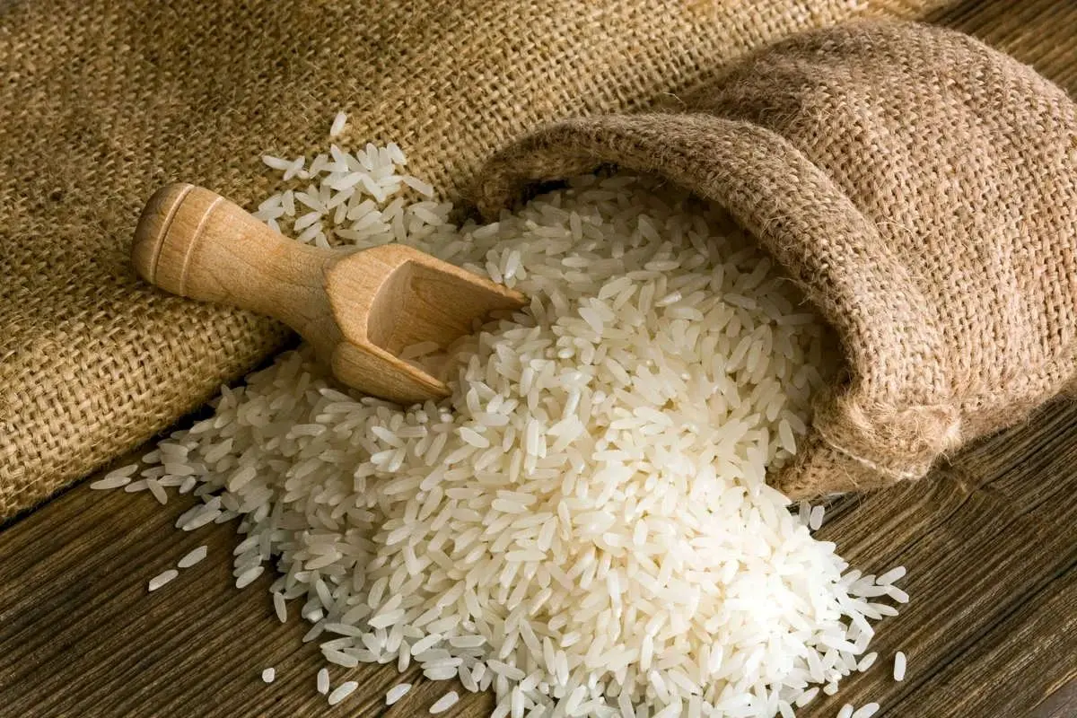 چگونه سامانه جدید، برنج‌ های تقلبی را در بازار شناسایی می‌ کند؟