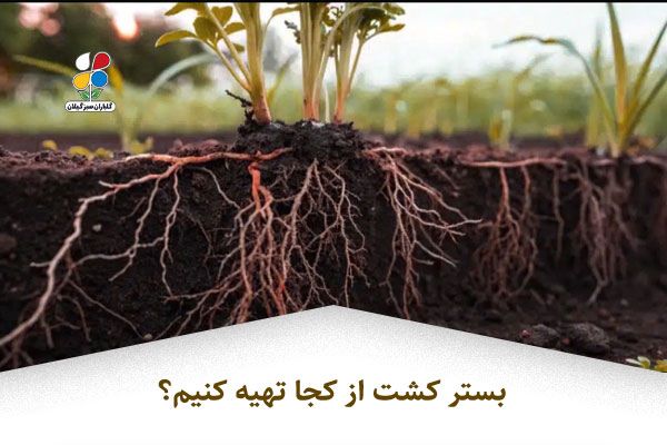 بستر کشت از کجا تهیه کنیم؟
